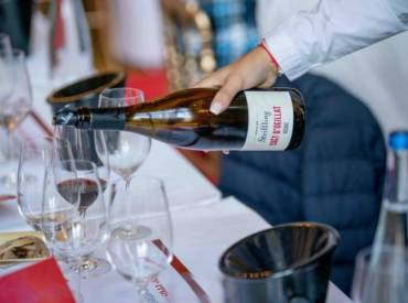 Revue de Presse – Terre de Vins / Lyon Tasting 2022